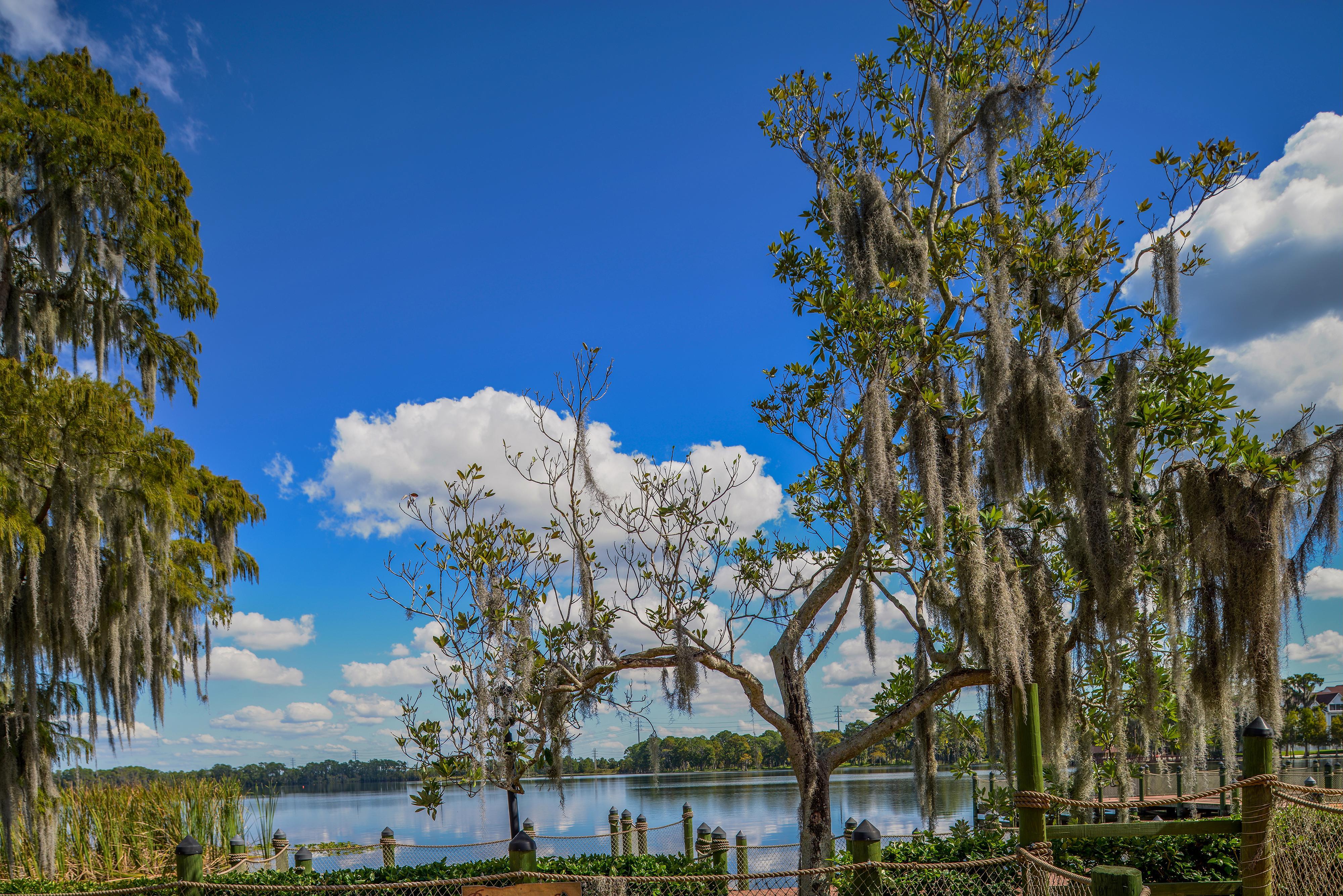 Bryan'S Spanish Cove Lake Buena Vista Exterior foto
